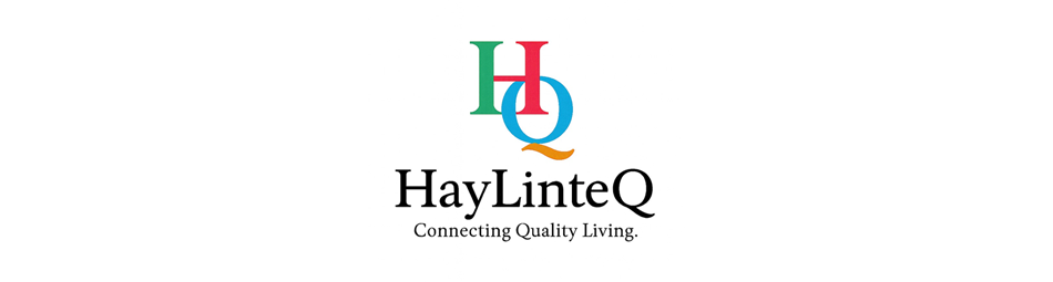 HayLinteQ LLC